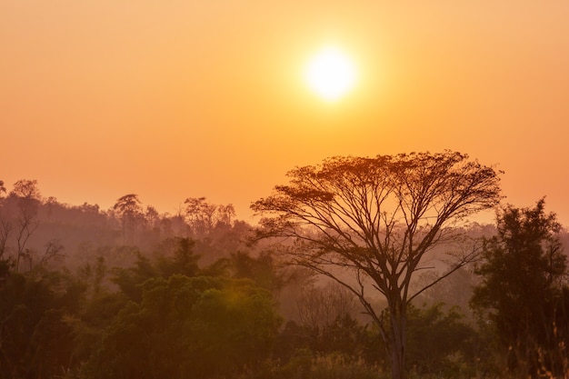 Paysages ruraux du nord de la Thaïlande