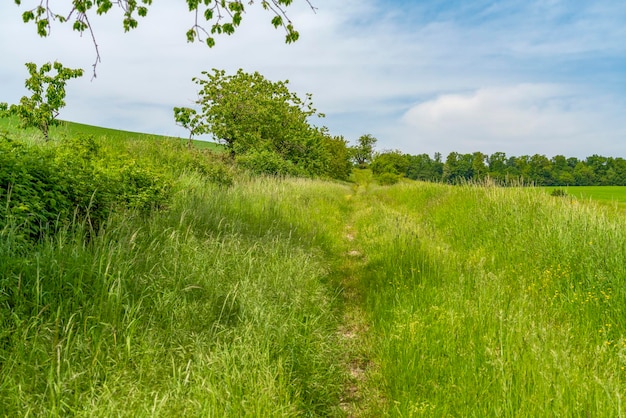 Des paysages ruraux idylliques