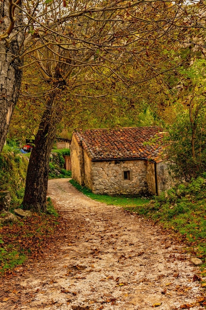 Paysages ruraux à l'intérieur des Asturies