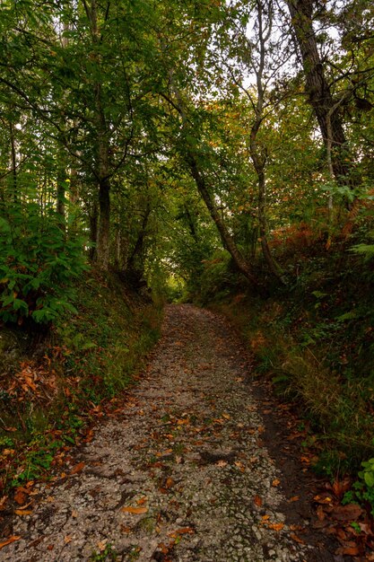 Photo paysages ruraux à l'intérieur des asturies