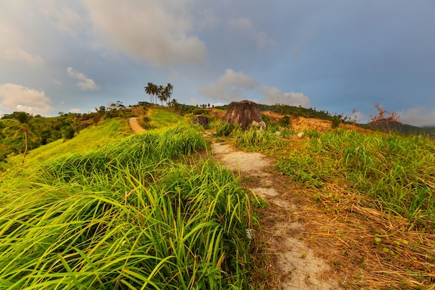 Paysages ruraux tropicaux sur l'île de Palawan, aux Philippines.