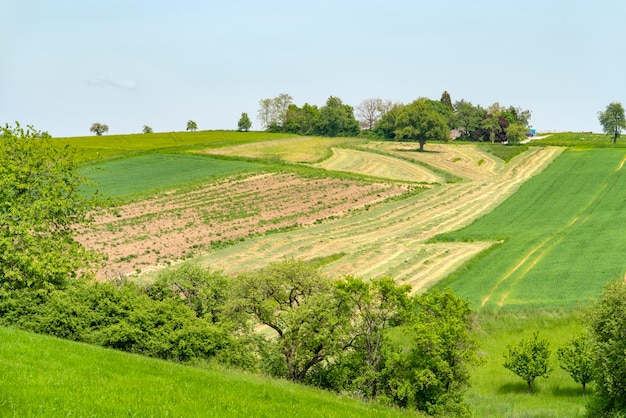 Des paysages ruraux