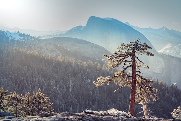 Paysages de Yosemite