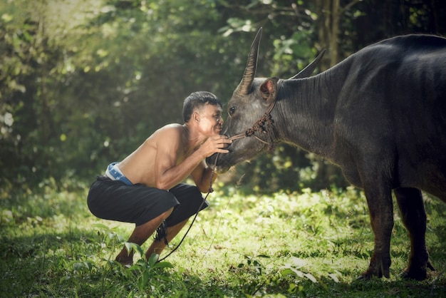 Paysan Avec Bison Regarde Les Yeux