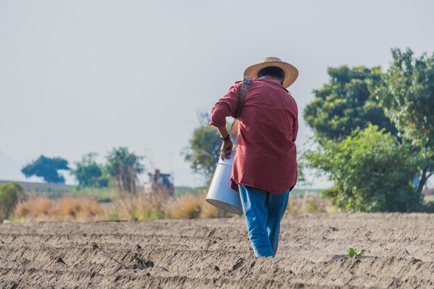 Paysan fertilisant la terre avec de l'engrais organique