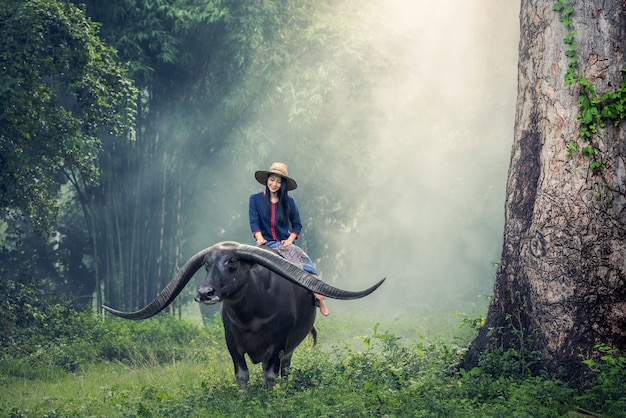 Paysanne asiatique avec un buffle