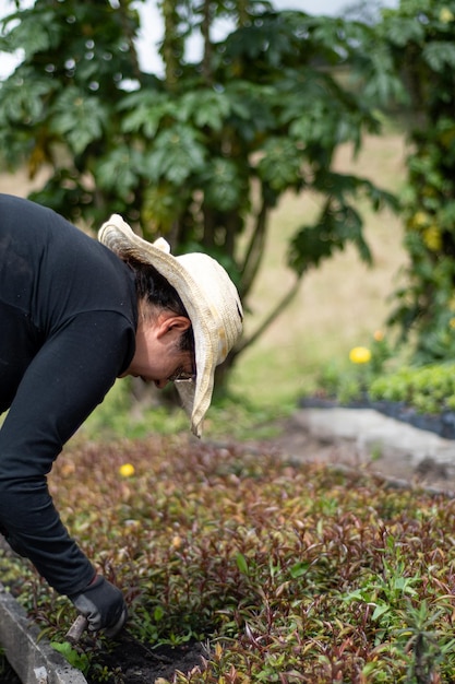 Paysanne plantant des plantes dans un verger