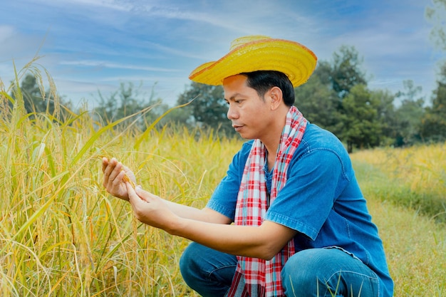 Les Paysans Asiatiques En Robes Et Chapeaux Sont Dans Un Champ De Rizières Dorées