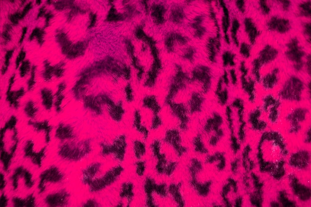 Une peau de léopard rose avec des taches noires.