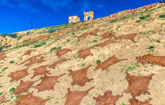 Des peaux d'animaux séchées sur une colline sous les tombeaux marinides à Fès au Maroc