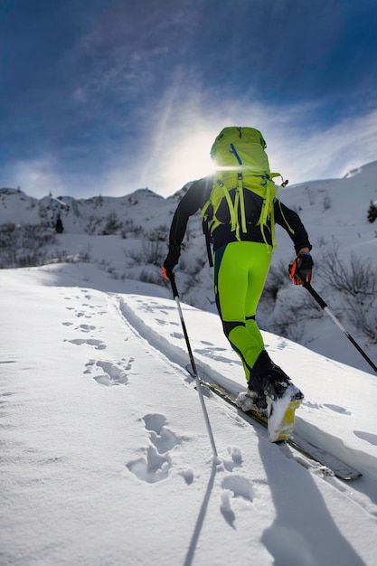 Des peaux de phoque sous les skis pour monter