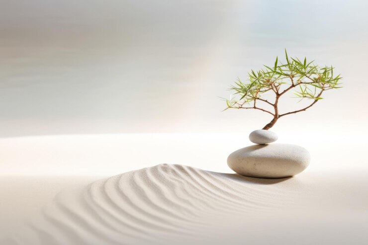 Photo pebble plant sand tranquille nature paisible scène sereine