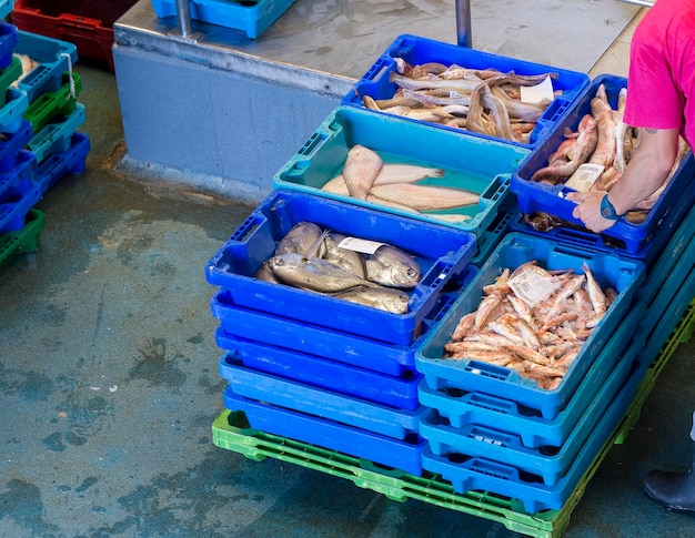 Pêche industrielle de poisson frais Vente aux enchères de poisson pour les grossistes et les restaurants