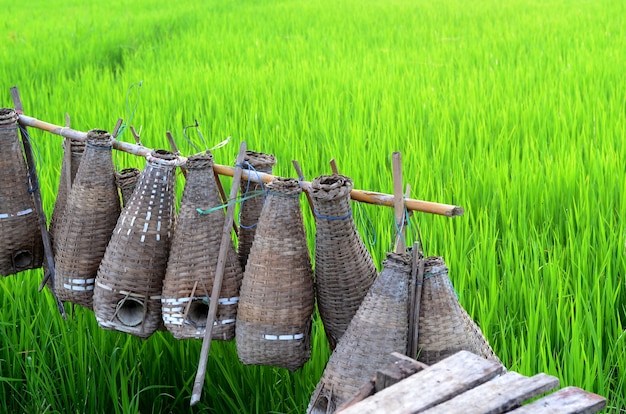 Photo pêche traditionnelle thaïlandaise de thaïlande