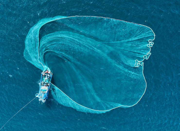 Photo la pêche