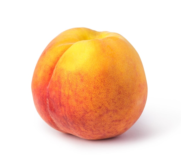 Pêche