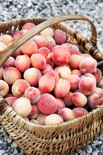 Pêches dans un panier