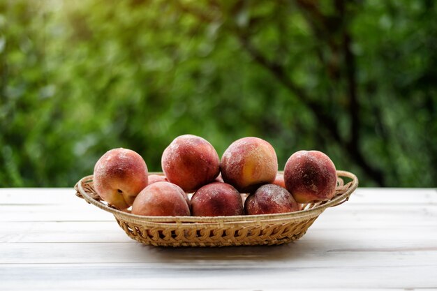 Pêches mûres dans un panier en osier, jardin verdoyant à l'arrière-plan. Saison des fruits