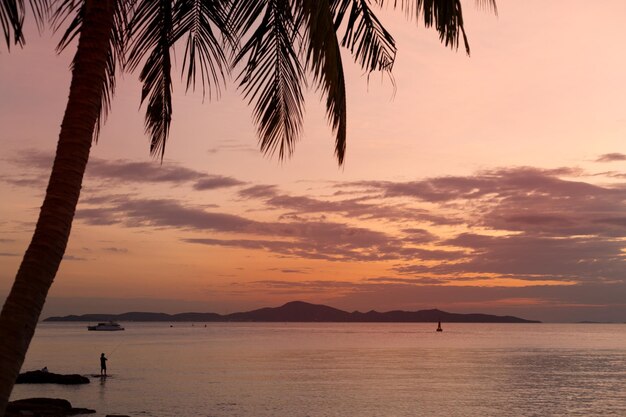 Pêcheur pêcheur sur une plage tropicale Silhouette de cocotier Coucher de soleil rose sur la mer