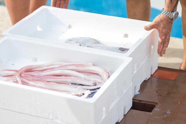 Pêcheur préparant pêché frais dans des conteneurs blancs, délices de l'océan.