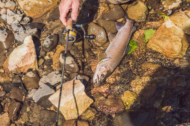 Le pêcheur regarde le poisson pêché.