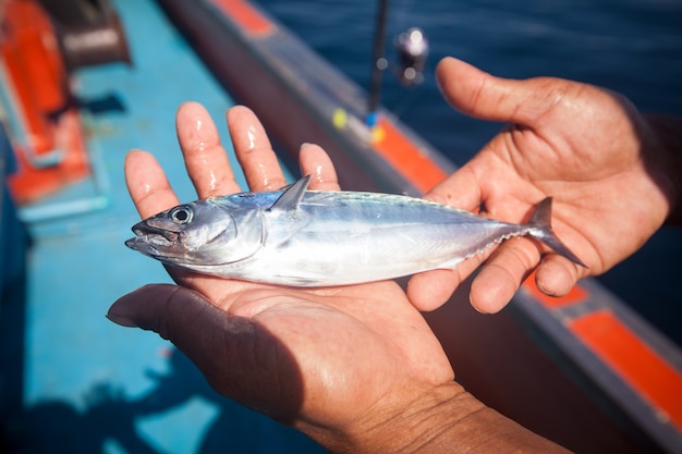 Photo pêcheur, tenue, thon, poisson, main, bateau, andaman, mer