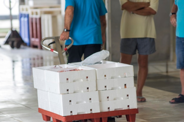 Pêcheur transportant des conteneurs blancs avec des prises de poissons de mer, des spécialités de l'océan. Prise industrielle de fr