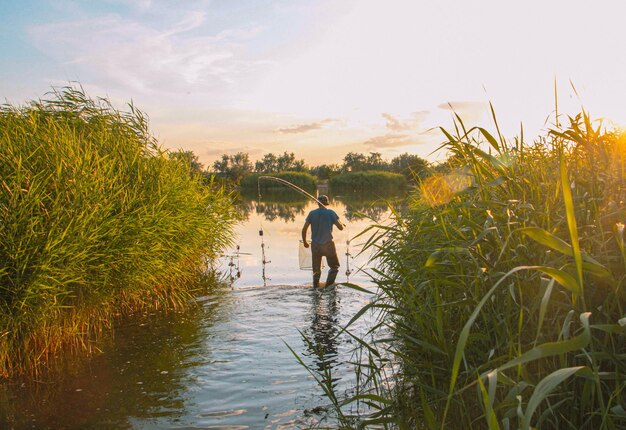 Photo un pêcheur utilisant une canne à pêche pour attraper des carpes dans la rivière alors qu'il se tient debout dans l'eau