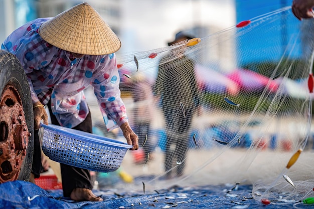 Les pêcheurs ramassent le poisson du sol Une vieille femme portant un chapeau ramasse et coupe le poisson pour le vendre le beau matin