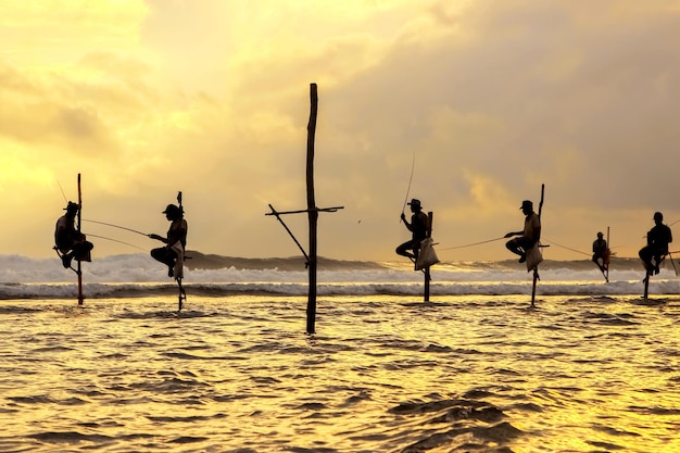 Pêcheurs traditionnels sur des bâtons au coucher du soleil au Sri Lanka