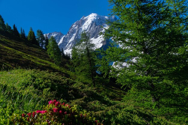 Pecleretargetierechamonixhaute savoiefrance