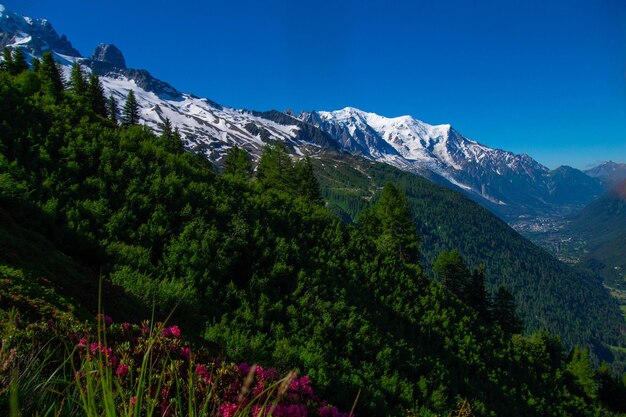 Pecleretargetierechamonixhaute savoiefrance