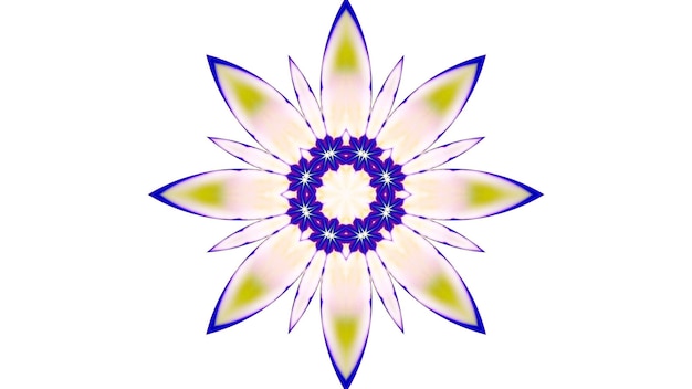 Peinture abstraite pinceau encre exploser propagation lisse Concept motif symétrique ornemental décoratif Kaléidoscope mouvement cercle géométrique et formes d'étoiles