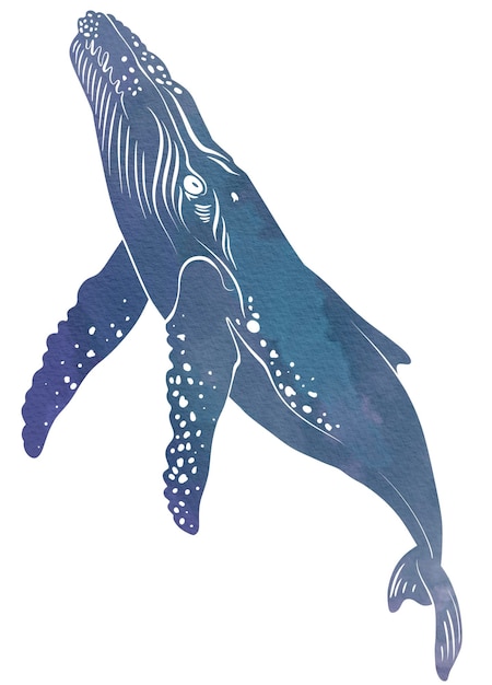 Peinture à l'aquarelle de baleine