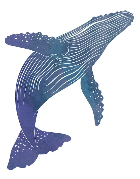 Peinture à l'aquarelle de baleine