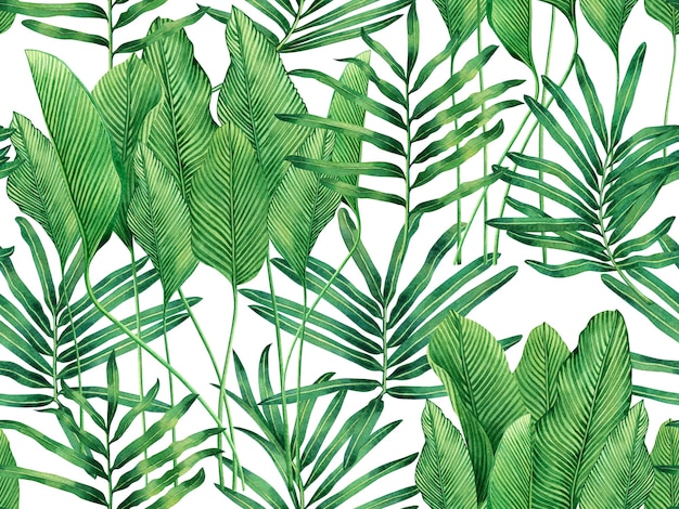 Peinture aquarelle feuilles tropicales vertes sans soudure de fond