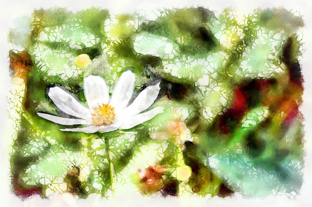 Peinture à l'aquarelle fleur de cosmos en fleurs Imitation d'art numérique moderne peinte à la main avec un colorant aquarells