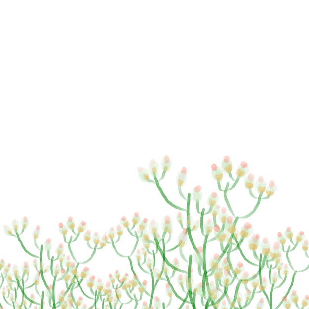 peinture aquarelle fleur d'herbe avec espace blanc