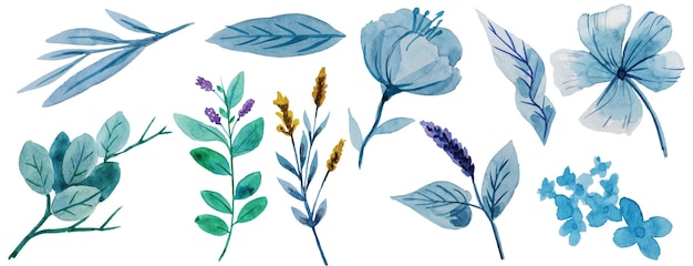 Peinture à L'aquarelle De Fleurs Bleu Clair Et De Feuilles Bleu Clair Sur Fond Naturelwatercolor