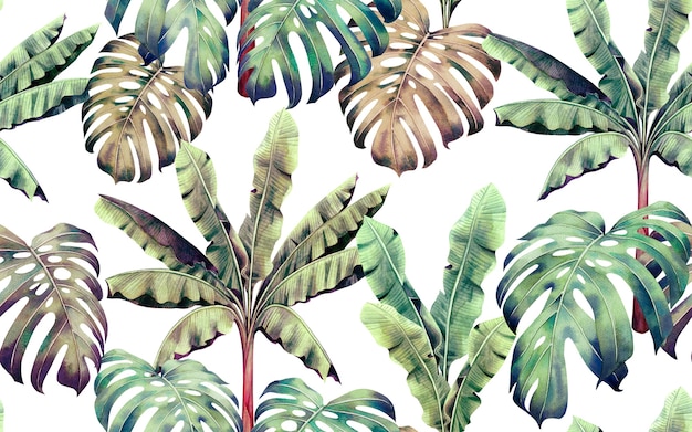 Peinture à l'aquarelle tropicale colorée feuilles de fond transparente.