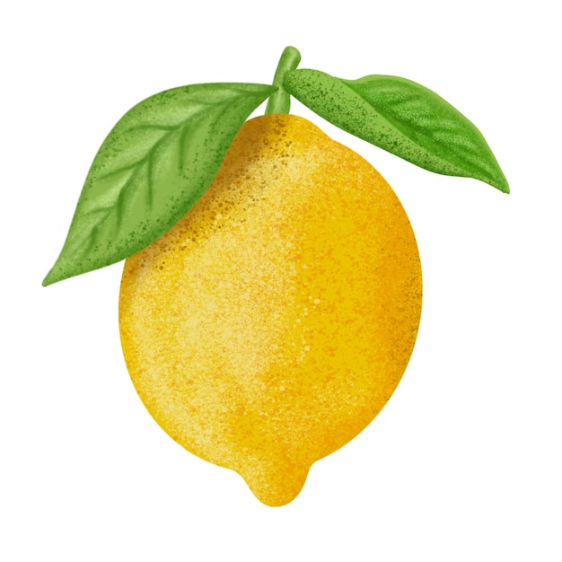 Peinture à la couleur de l'illustration du citron