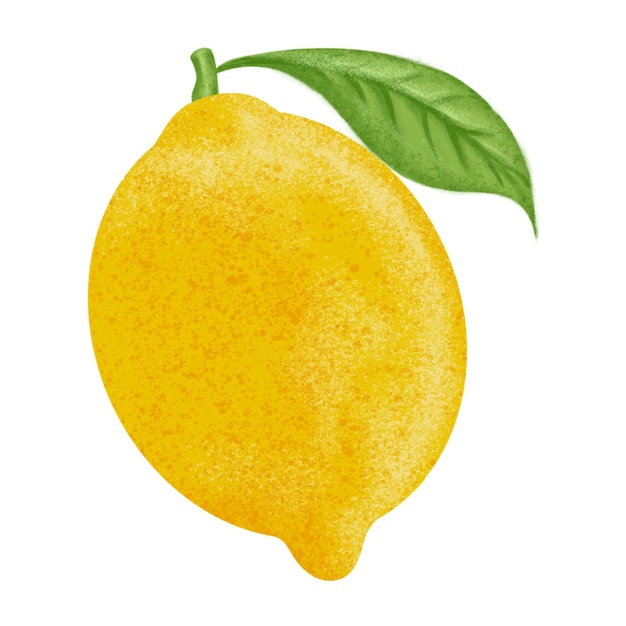 Peinture à la couleur de l'illustration du citron