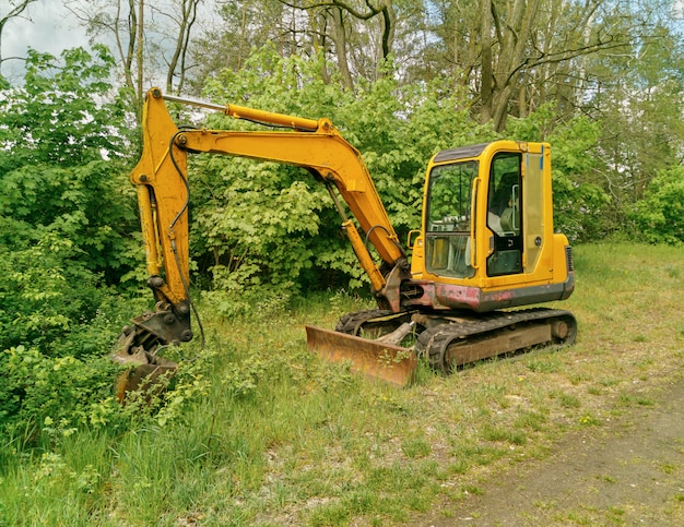 Pelle dans une forêt de buissons verts