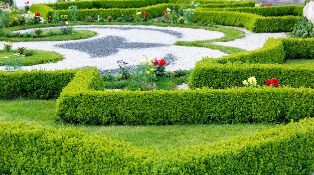 Pelouse d'été avec des fleurs dans le parc de la ville