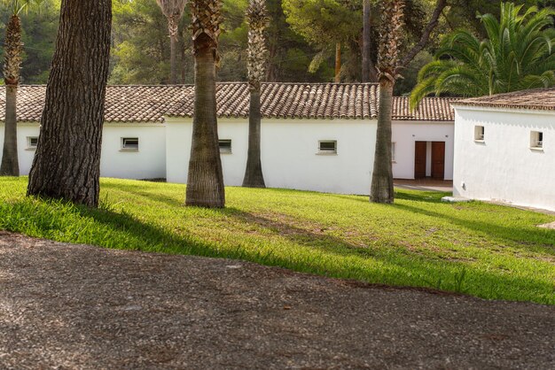 Pelouse d'herbe verte à coupe courte avec palmiers, fond de maisons de bungalow numérotées blanches - station de vacances