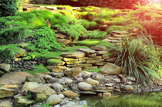 Pelouse d'herbe verte fraîche au soleil, aménagement paysager dans le jardin