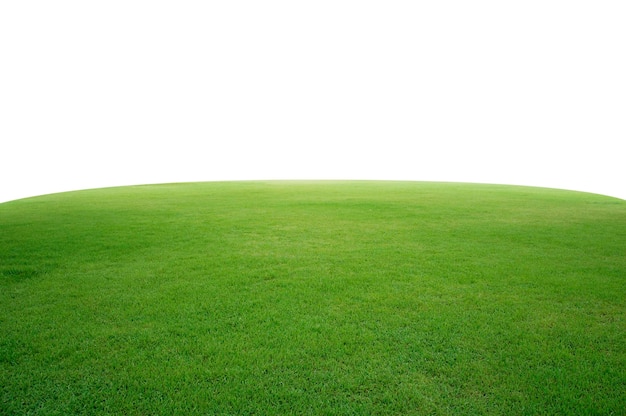 Pelouse d'herbe verte fraîche isolé sur fond blanc