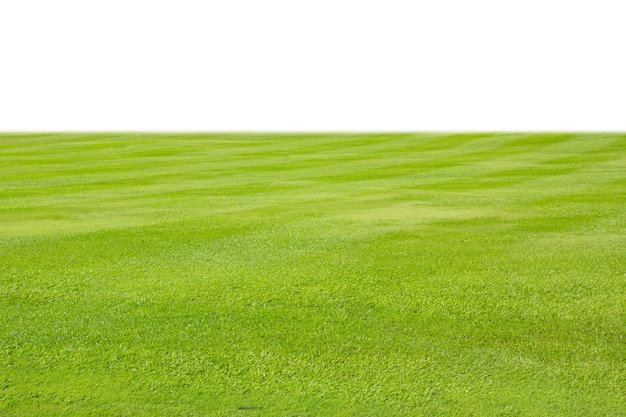 Pelouse d'herbe verte fraîche isolé sur fond blanc