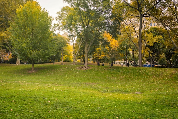 Pelouse verte dans Central Park en automne, New York