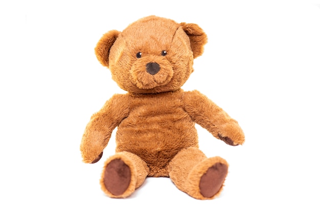 Peluche ourson brun isolé